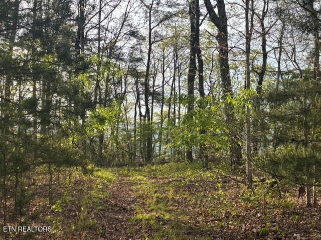 0 Gray Rock View Pikeville TN 37367