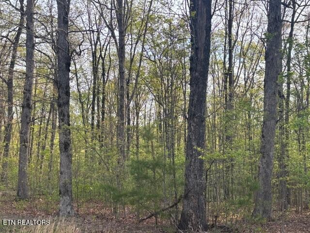 0 Gray Rock View Pikeville TN 37367