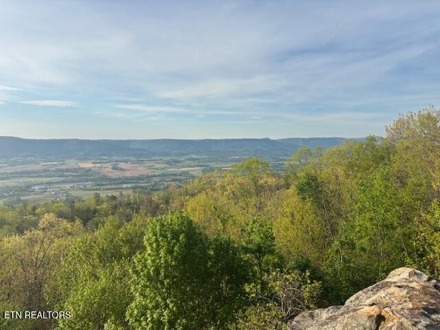0 Gray Rock View Pikeville TN 37367