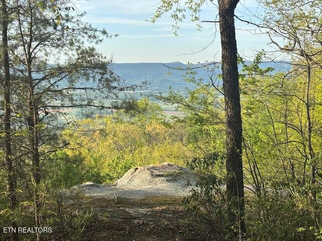 0 Gray Rock View Pikeville TN 37367