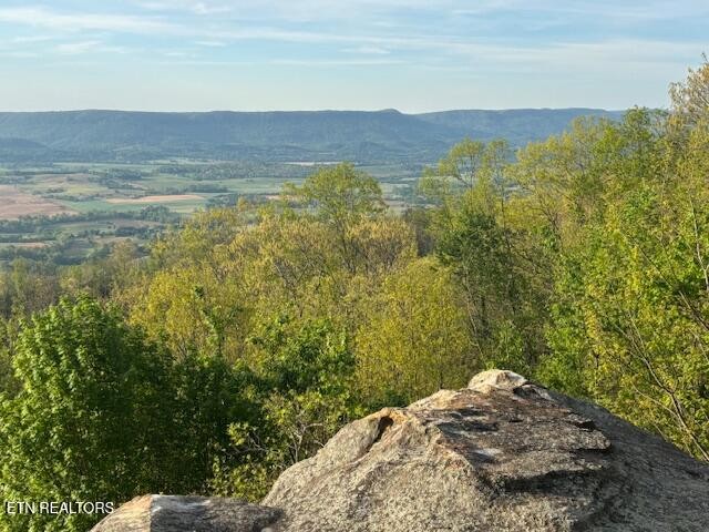0 Gray Rock View Pikeville TN 37367