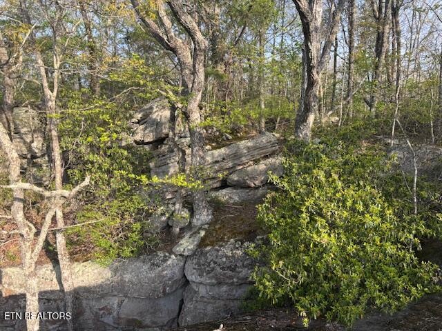 0 Gray Rock View Pikeville TN 37367