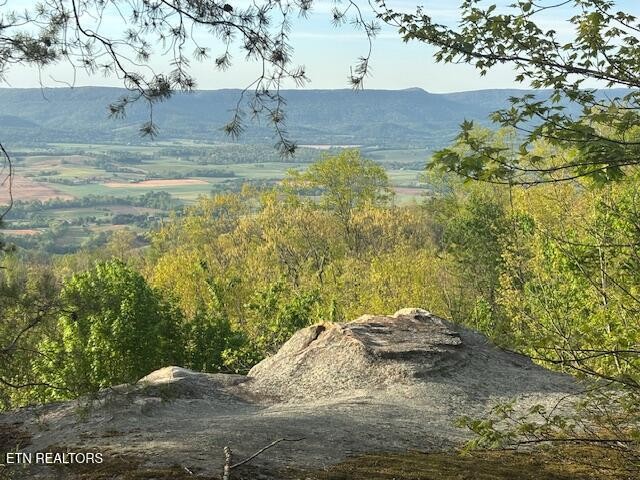 0 Gray Rock View Pikeville TN 37367