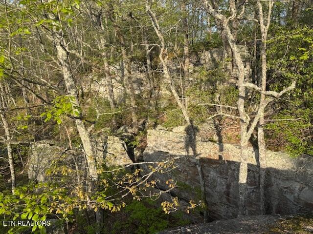 0 Gray Rock View Pikeville TN 37367