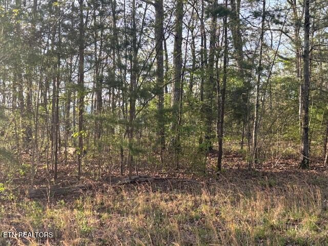 0 Gray Rock View Pikeville TN 37367