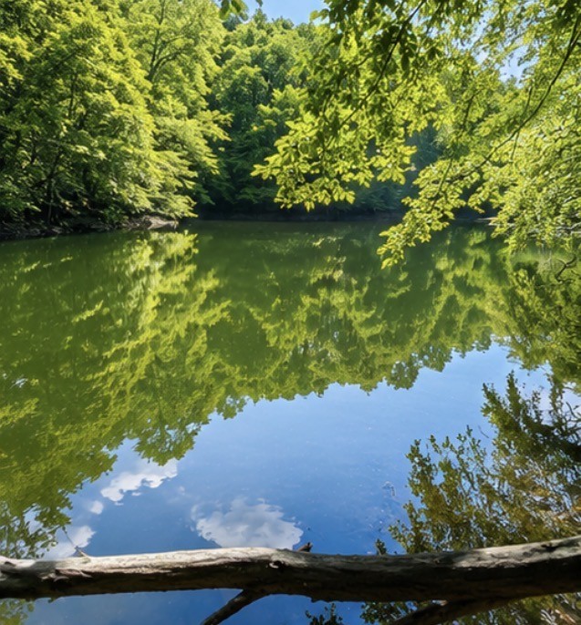 0 Elklore Avenue Estill Springs TN 37330