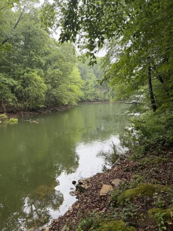 0 Elklore Avenue Estill Springs TN 37330