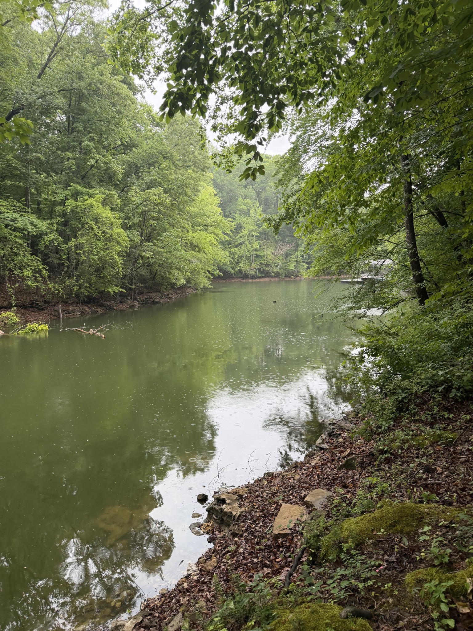 0 Elklore Avenue Estill Springs TN 37330