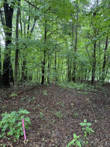0 Elklore Avenue Estill Springs TN 37330