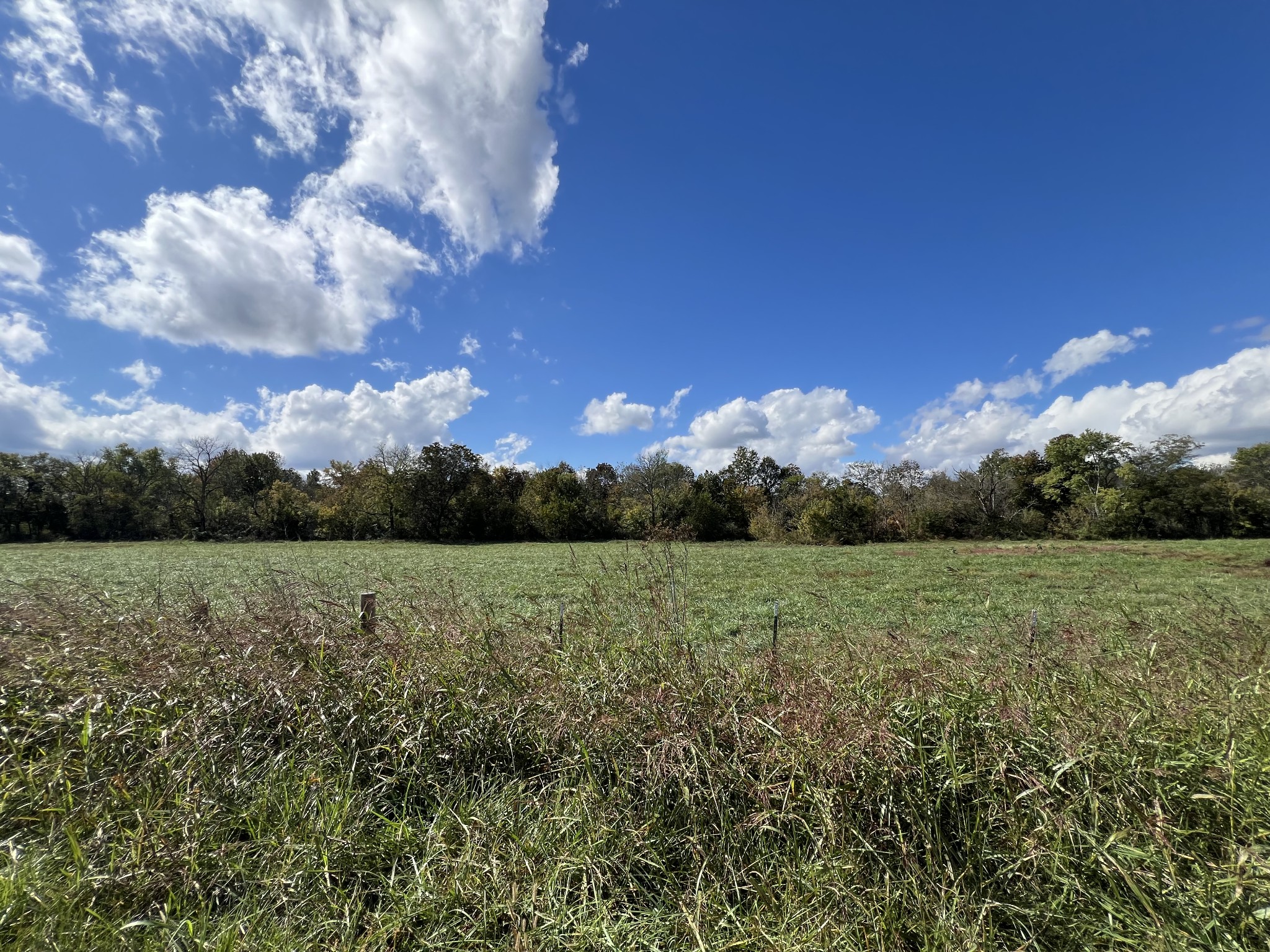 0 Bell Buckle Wartrace Road Wartrace TN 37183