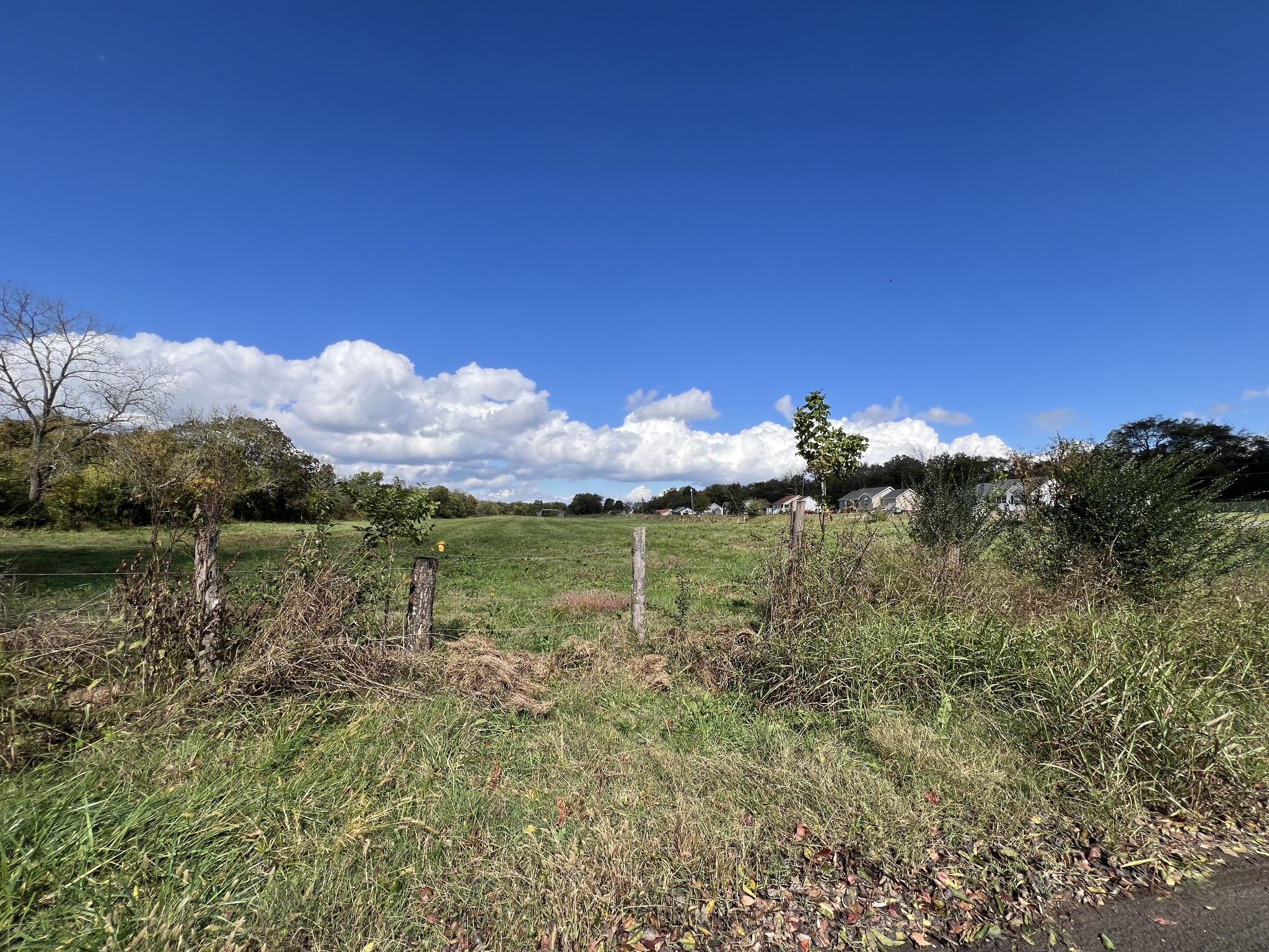 0 Bell Buckle Wartrace Road Wartrace TN 37183