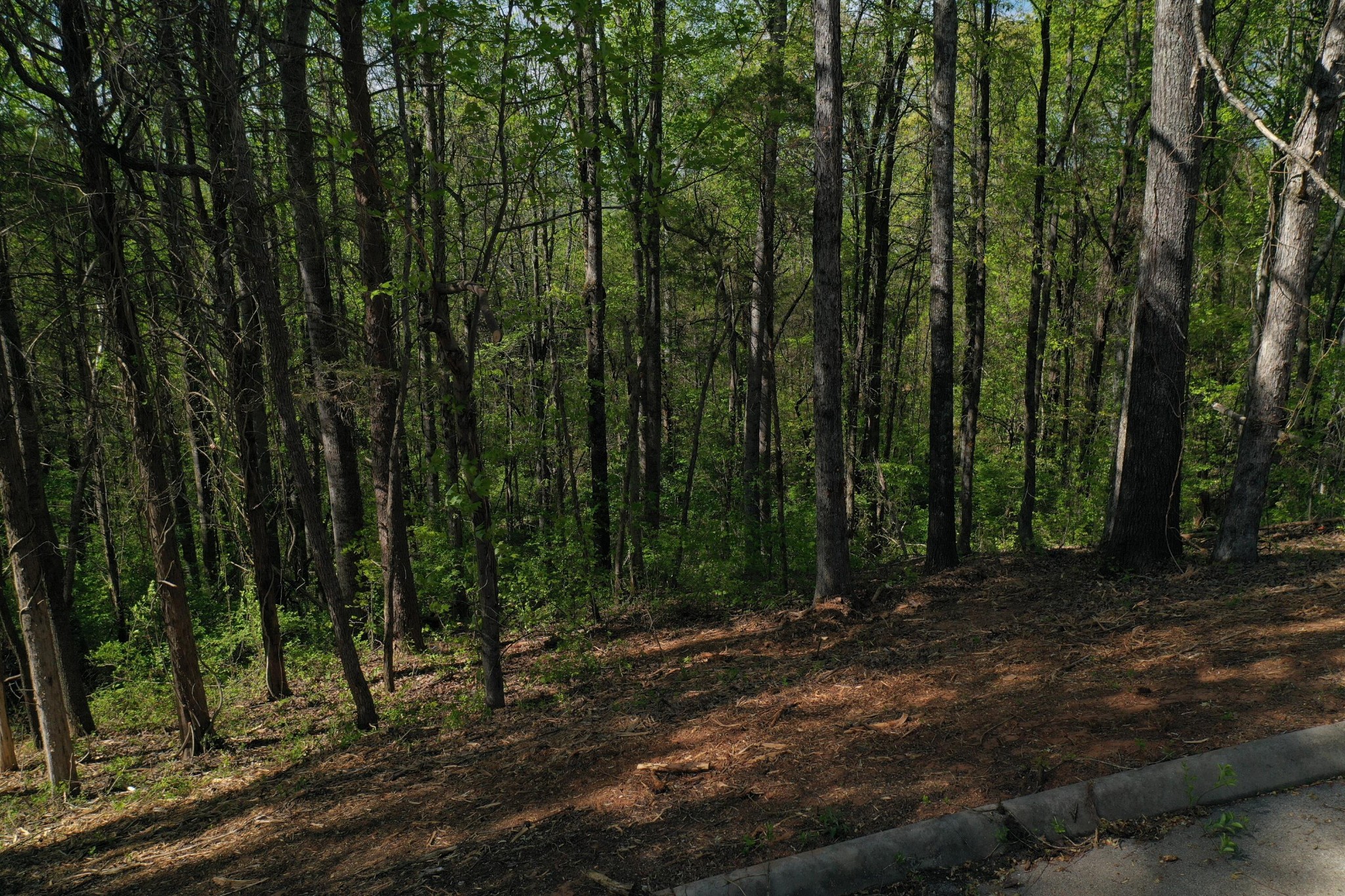 0 Elm Lane Lot 16 Lane Sweetwater TN 37874