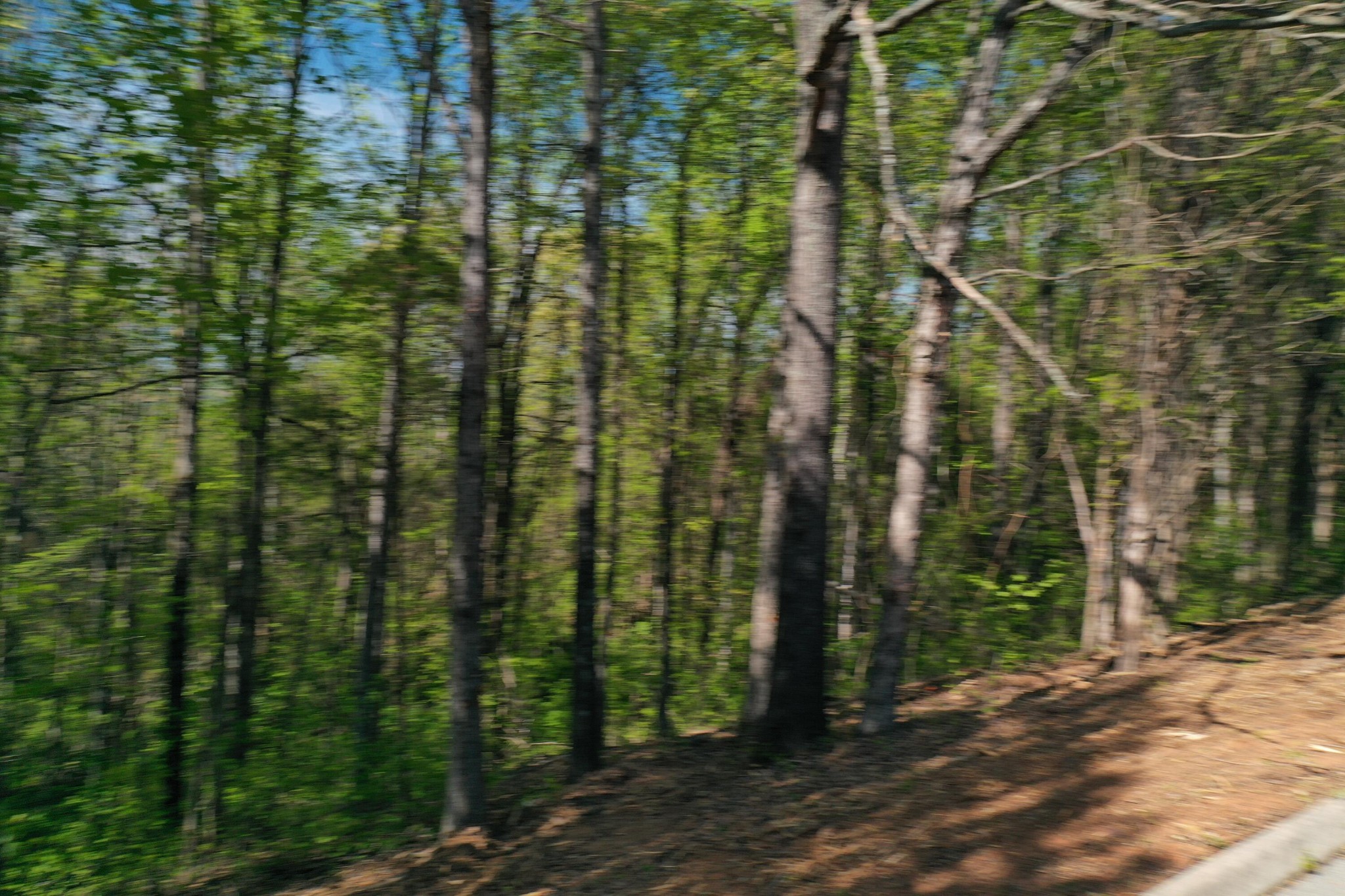 0 Elm Lane Lot 16 Lane Sweetwater TN 37874