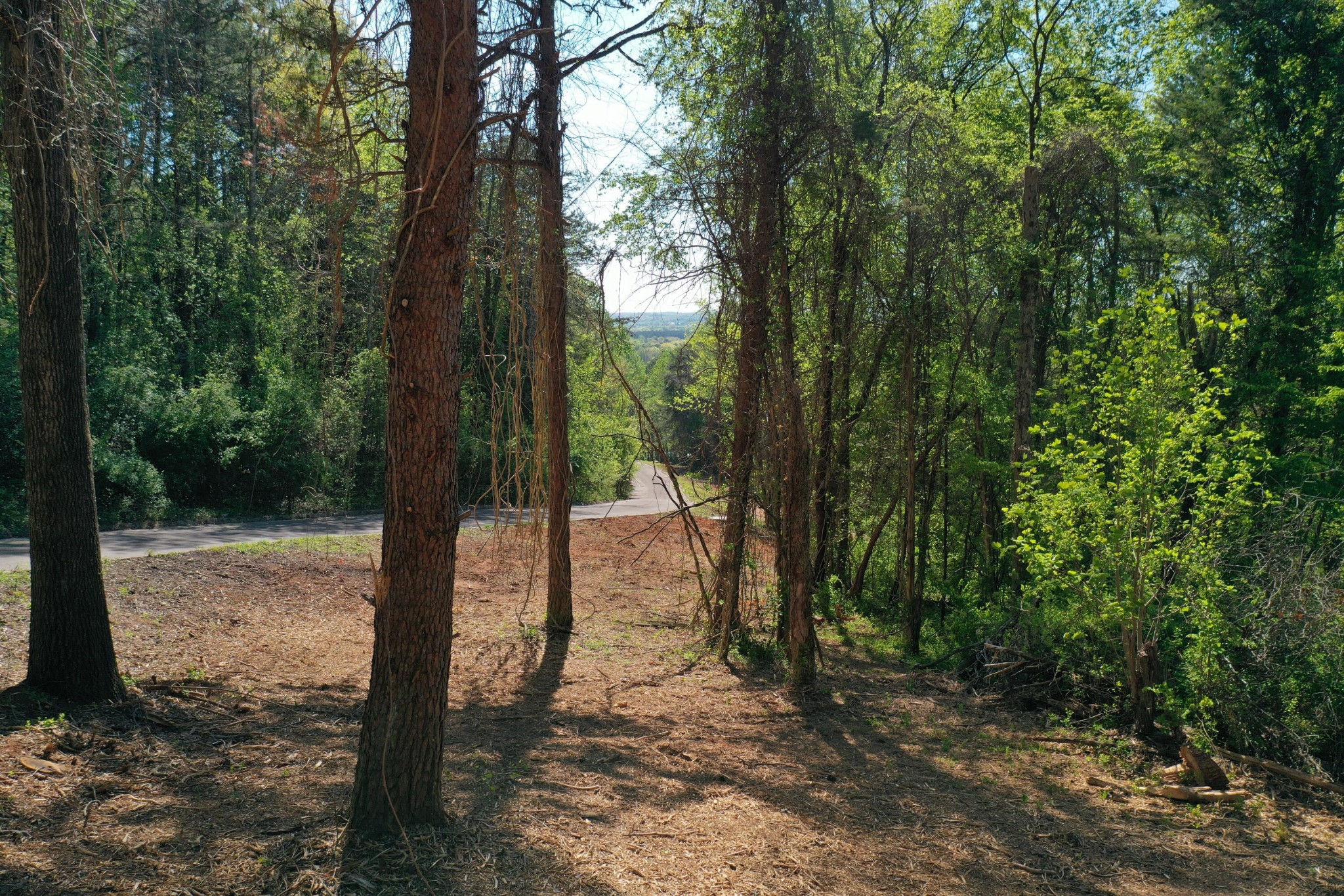 0 Elm Lane Lot 16 Lane Sweetwater TN 37874