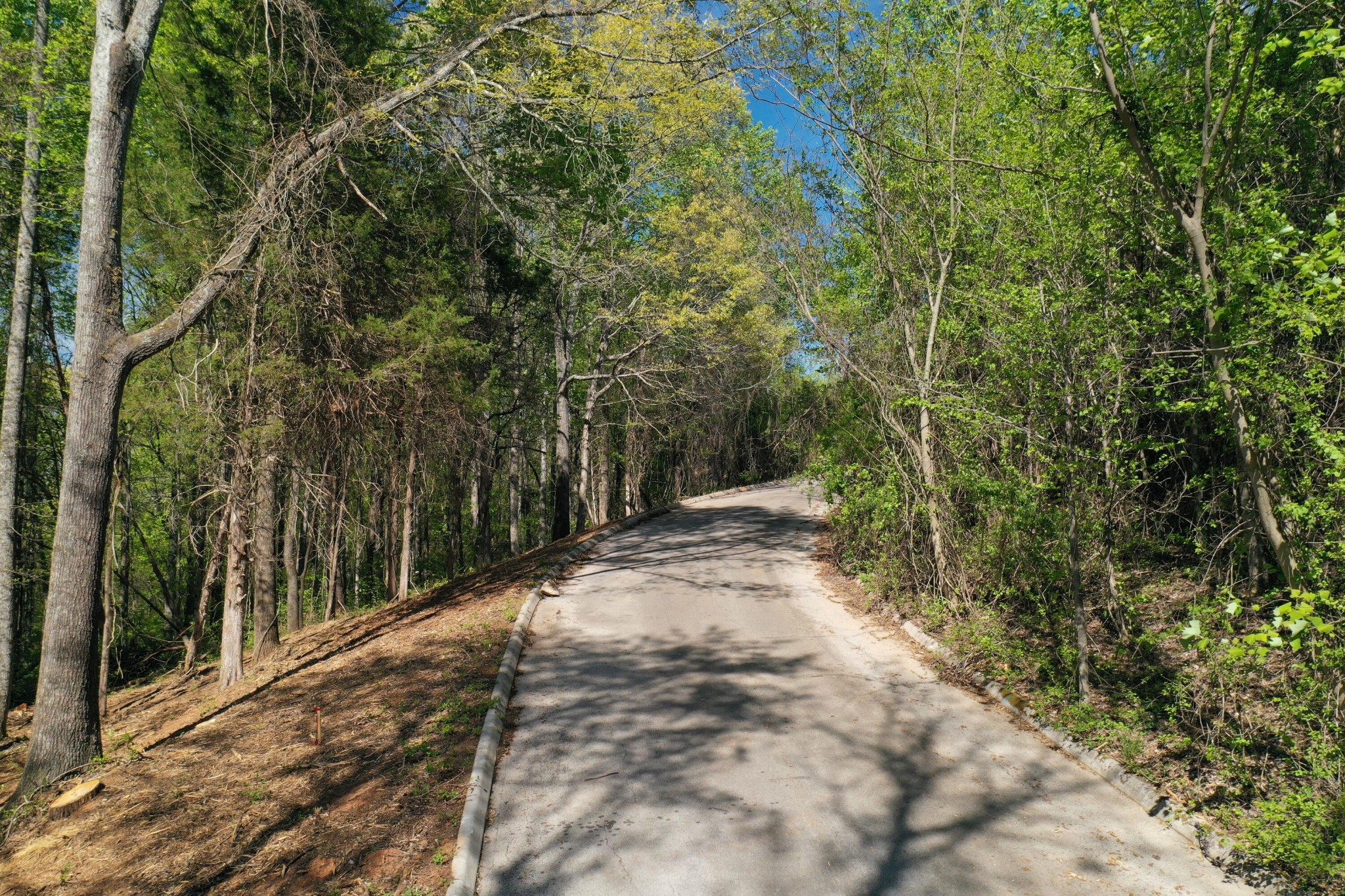 0 Elm Lane Lot 16 Lane Sweetwater TN 37874
