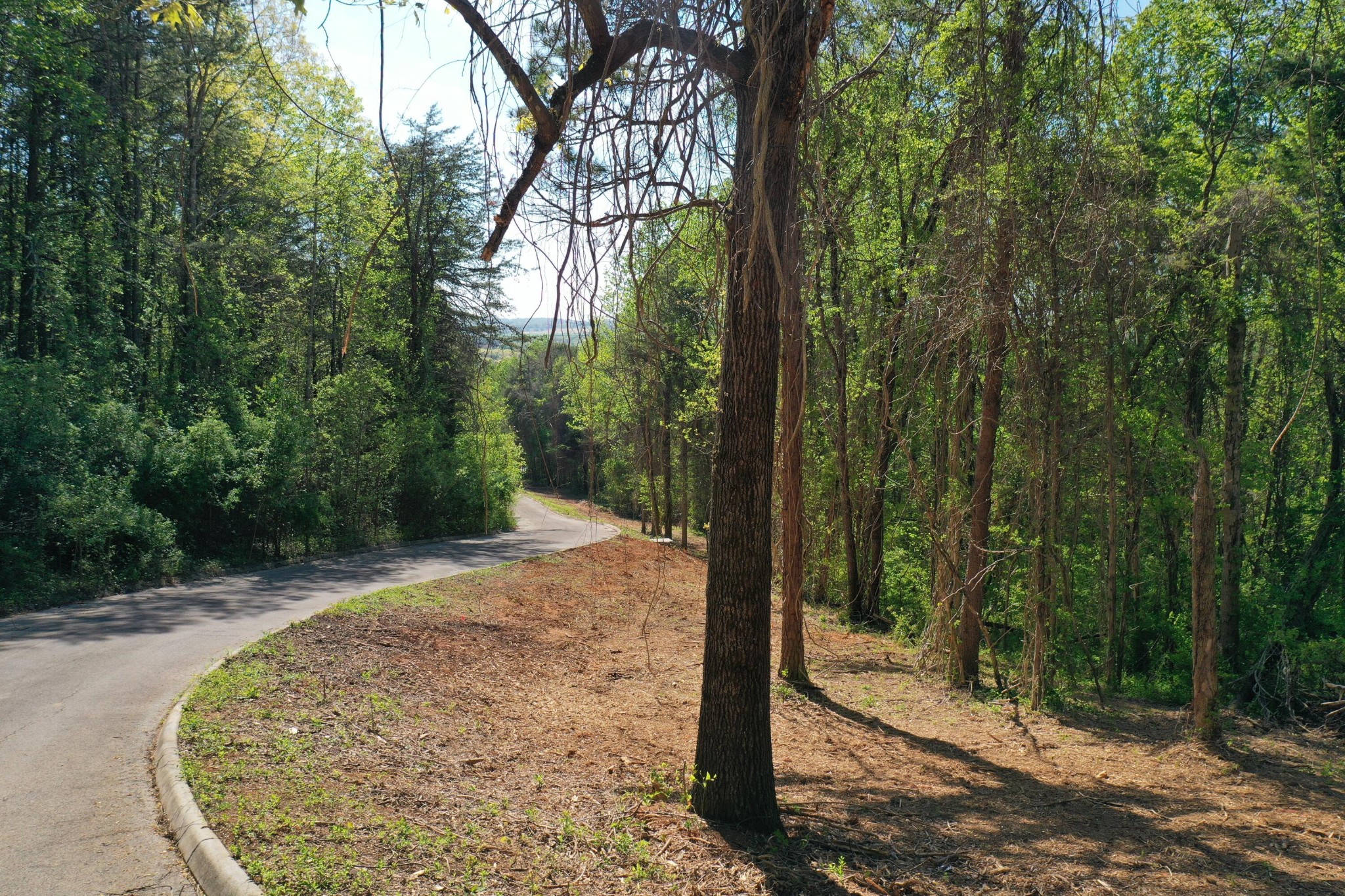 0 Elm Lane Lot 16 Lane Sweetwater TN 37874