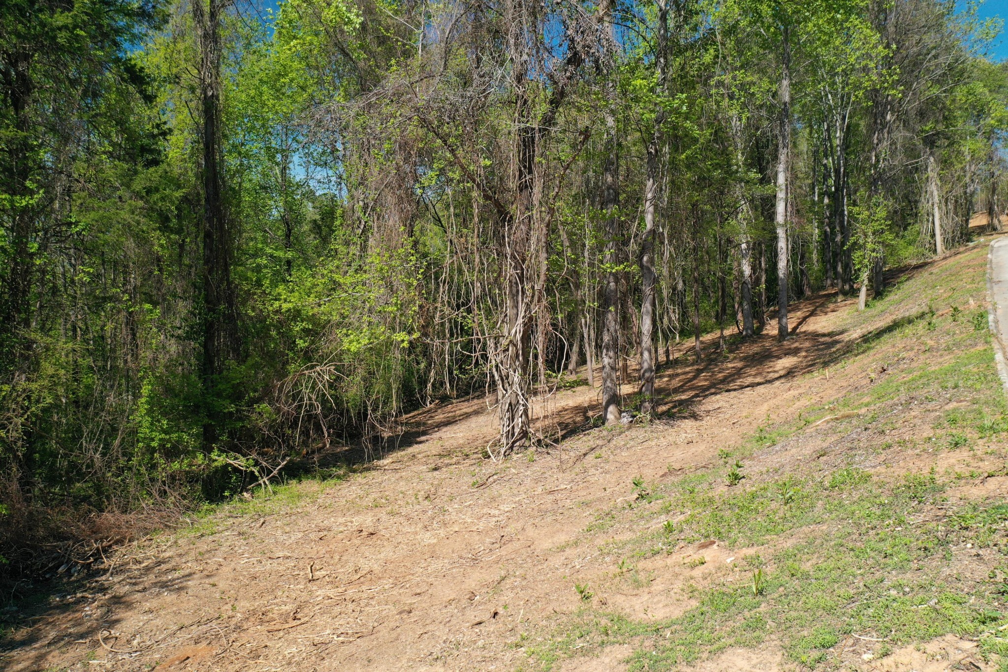 0 Elm Lane Lot 16 Lane Sweetwater TN 37874