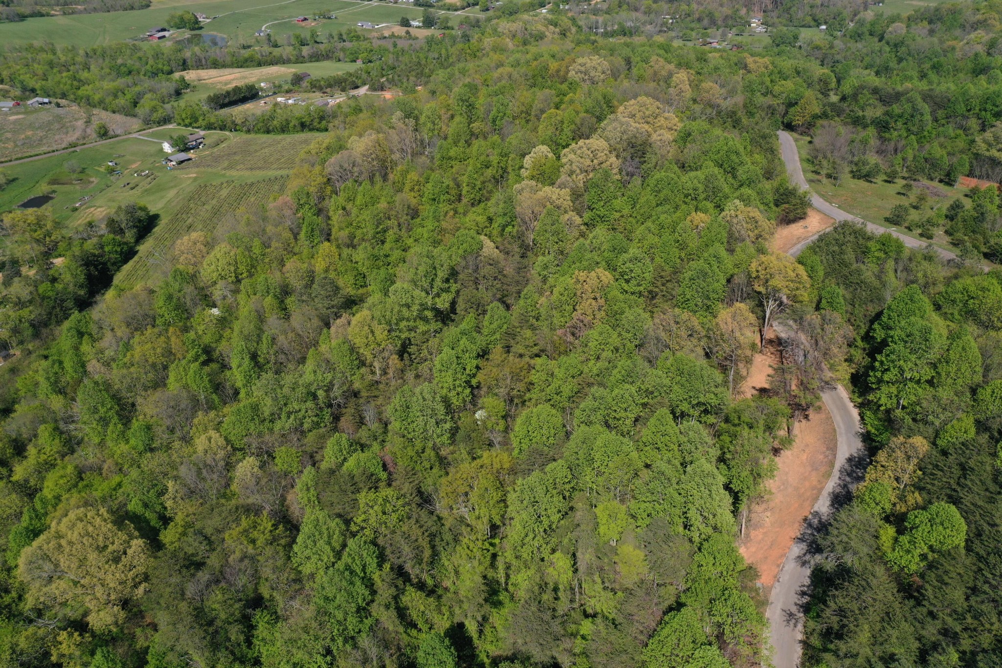 0 Elm Lane Lot 16 Lane Sweetwater TN 37874