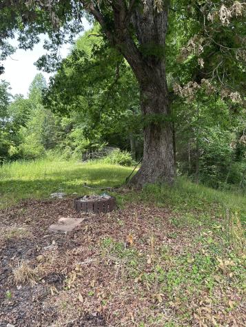 119 Rodger Carroll Road Hohenwald TN 38462
