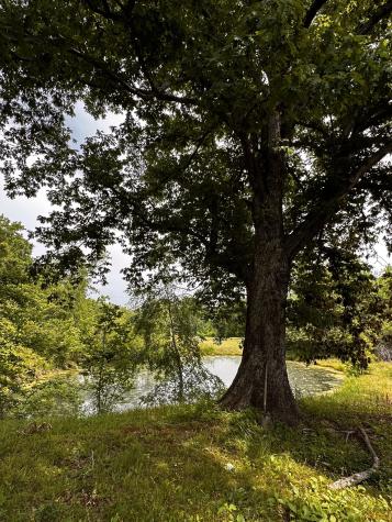 119 Rodger Carroll Road Hohenwald TN 38462