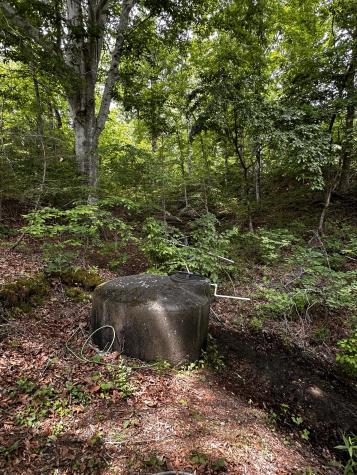 119 Rodger Carroll Road Hohenwald TN 38462