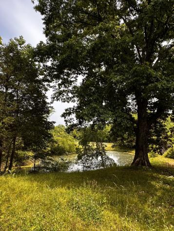 119 Rodger Carroll Road Hohenwald TN 38462