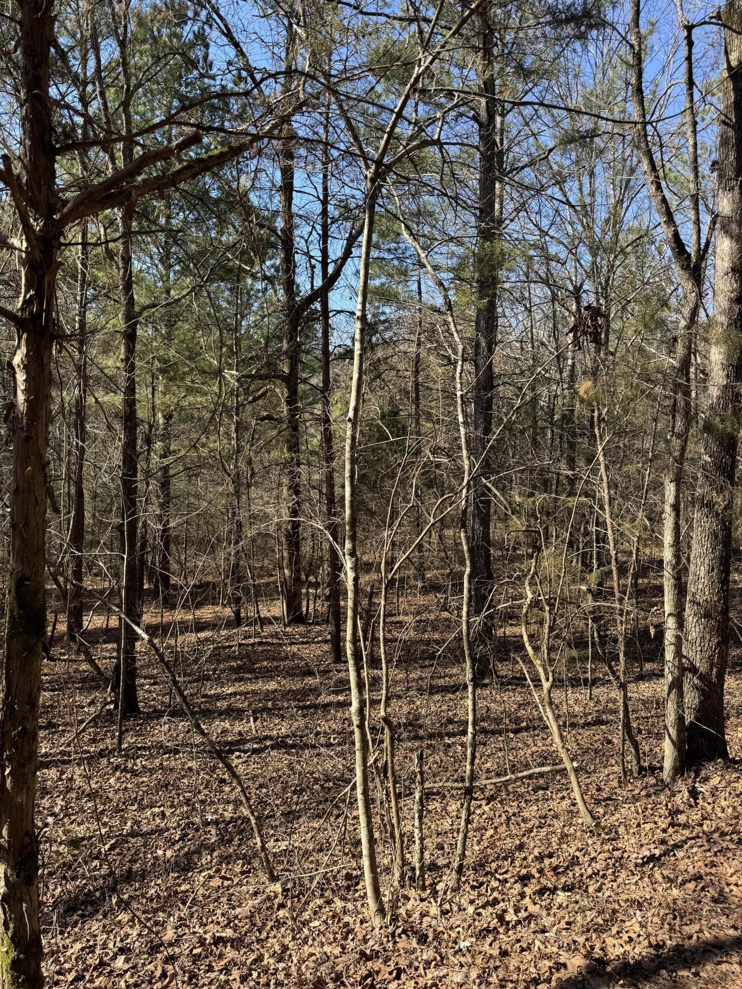 2311 John Wesley Trail Harrison TN 37341