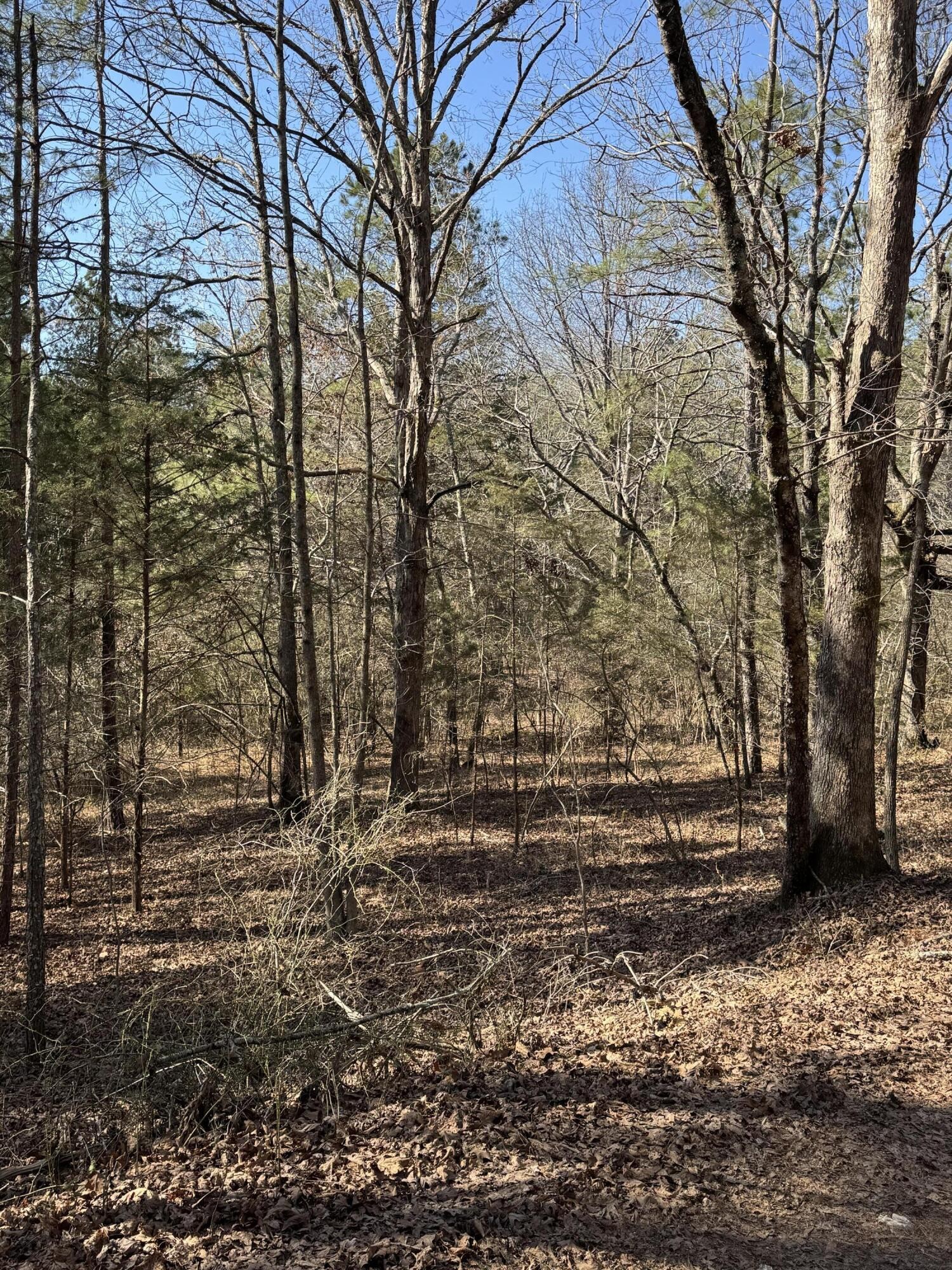2311 John Wesley Trail Harrison TN 37341