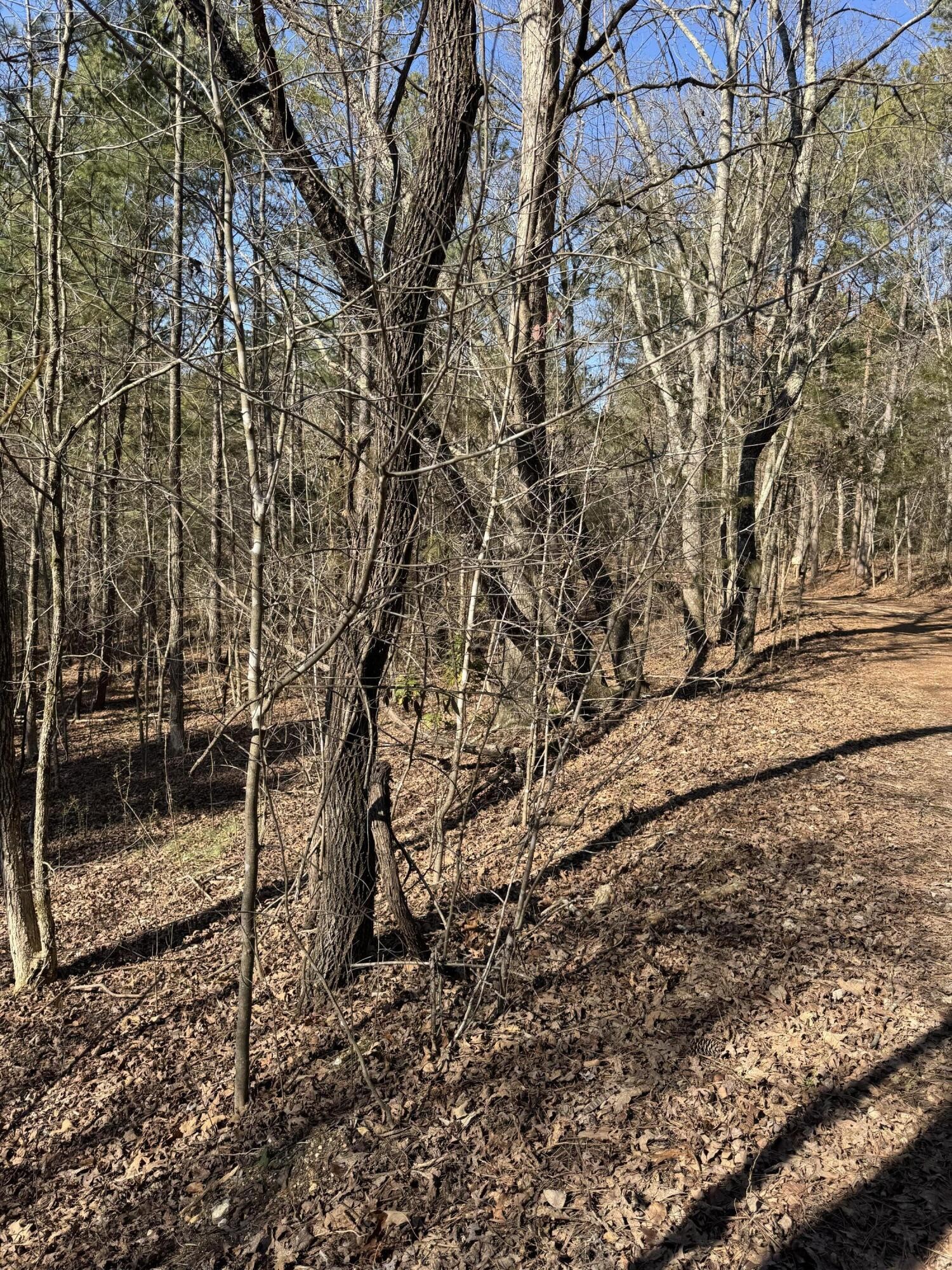 2311 John Wesley Trail Harrison TN 37341