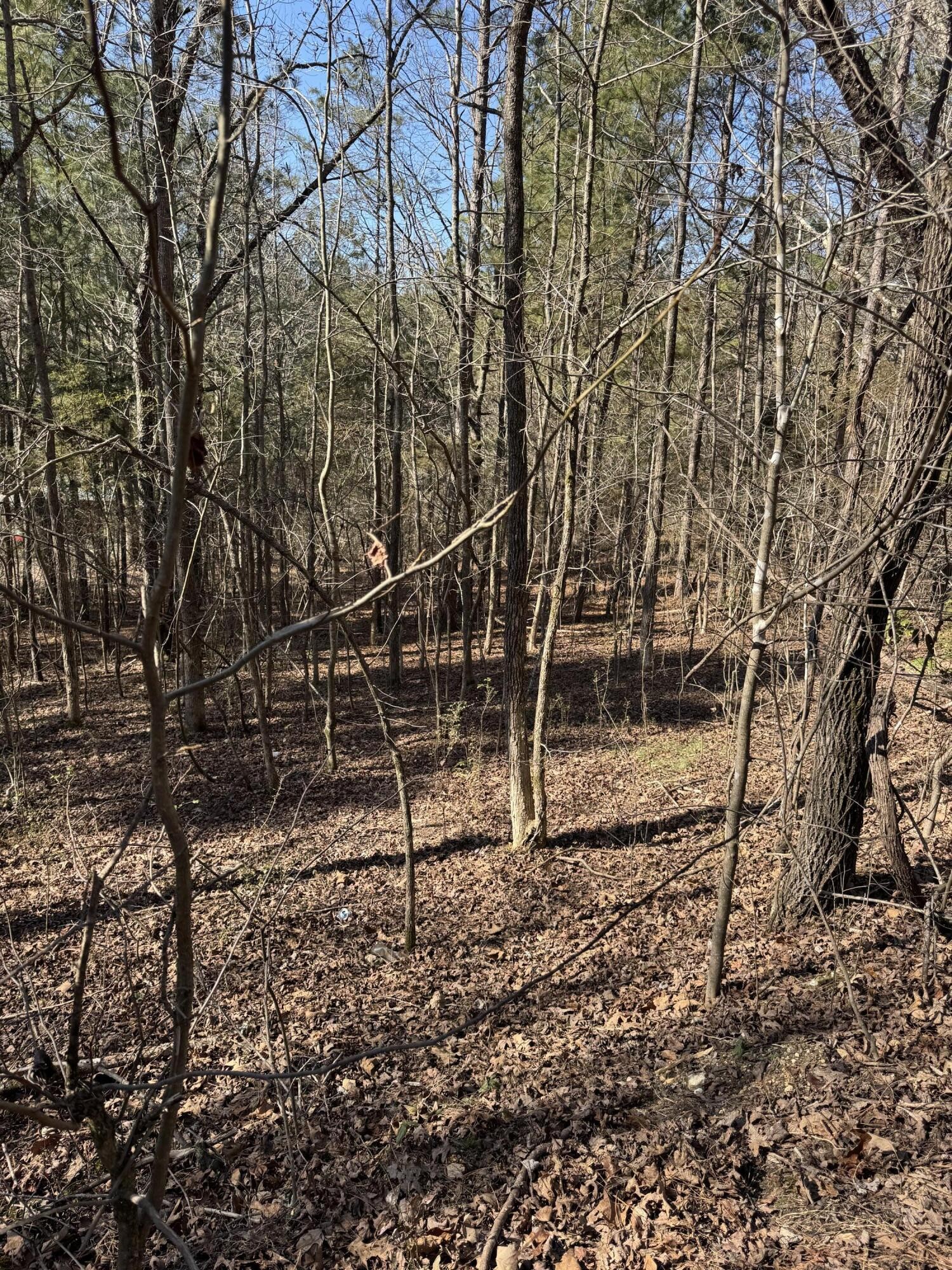 2311 John Wesley Trail Harrison TN 37341