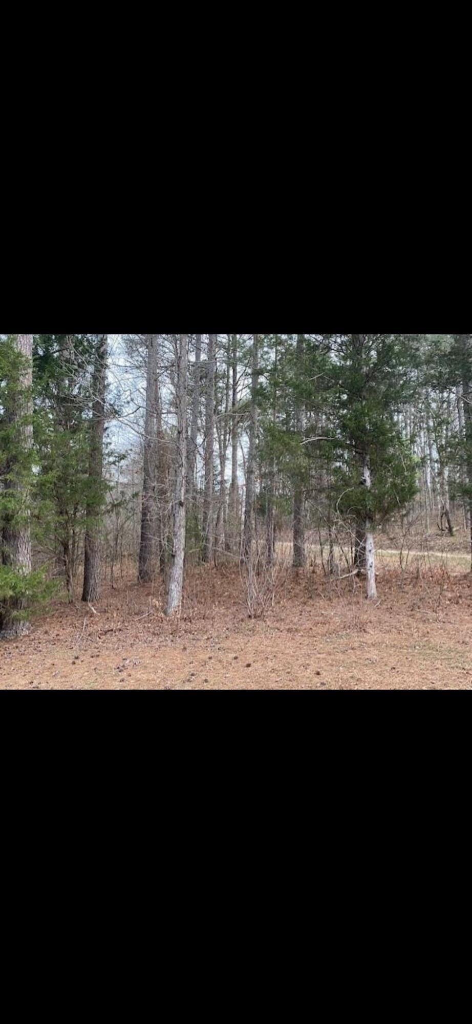 2311 John Wesley Trail Harrison TN 37341