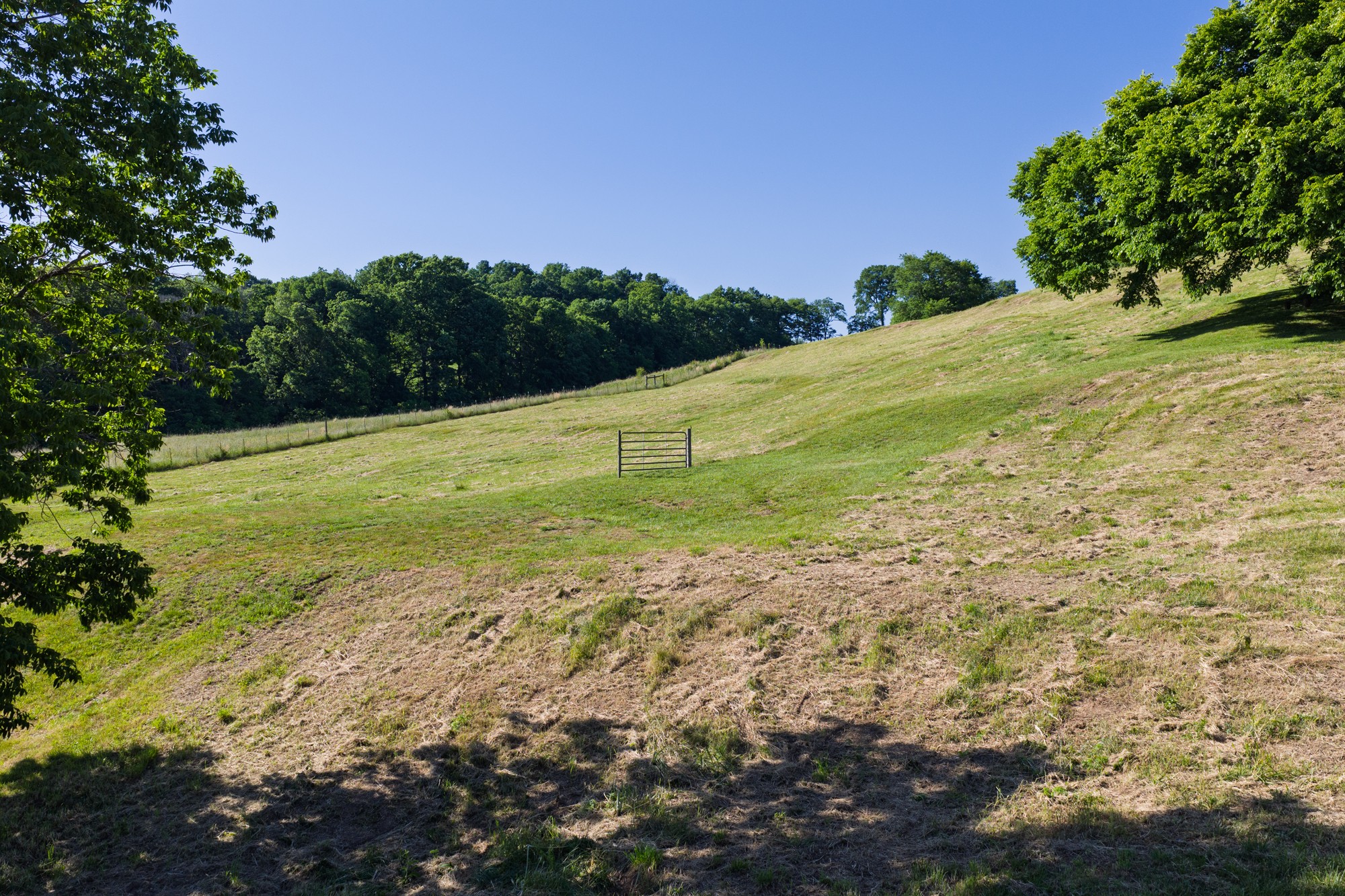 0 Morel Road Columbia TN 38401