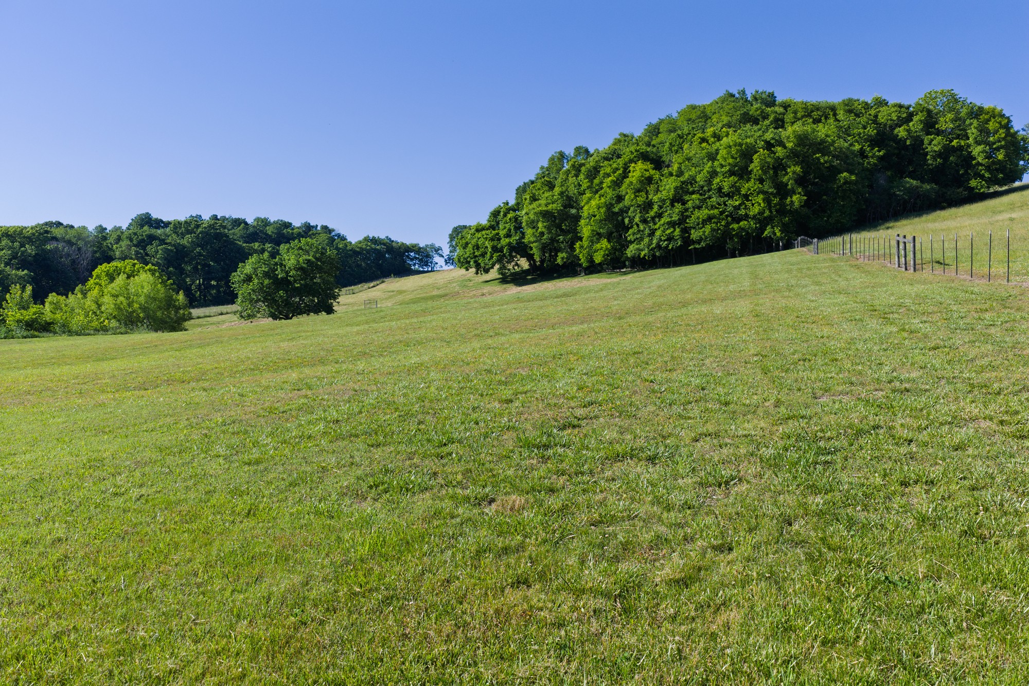 0 Morel Road Columbia TN 38401