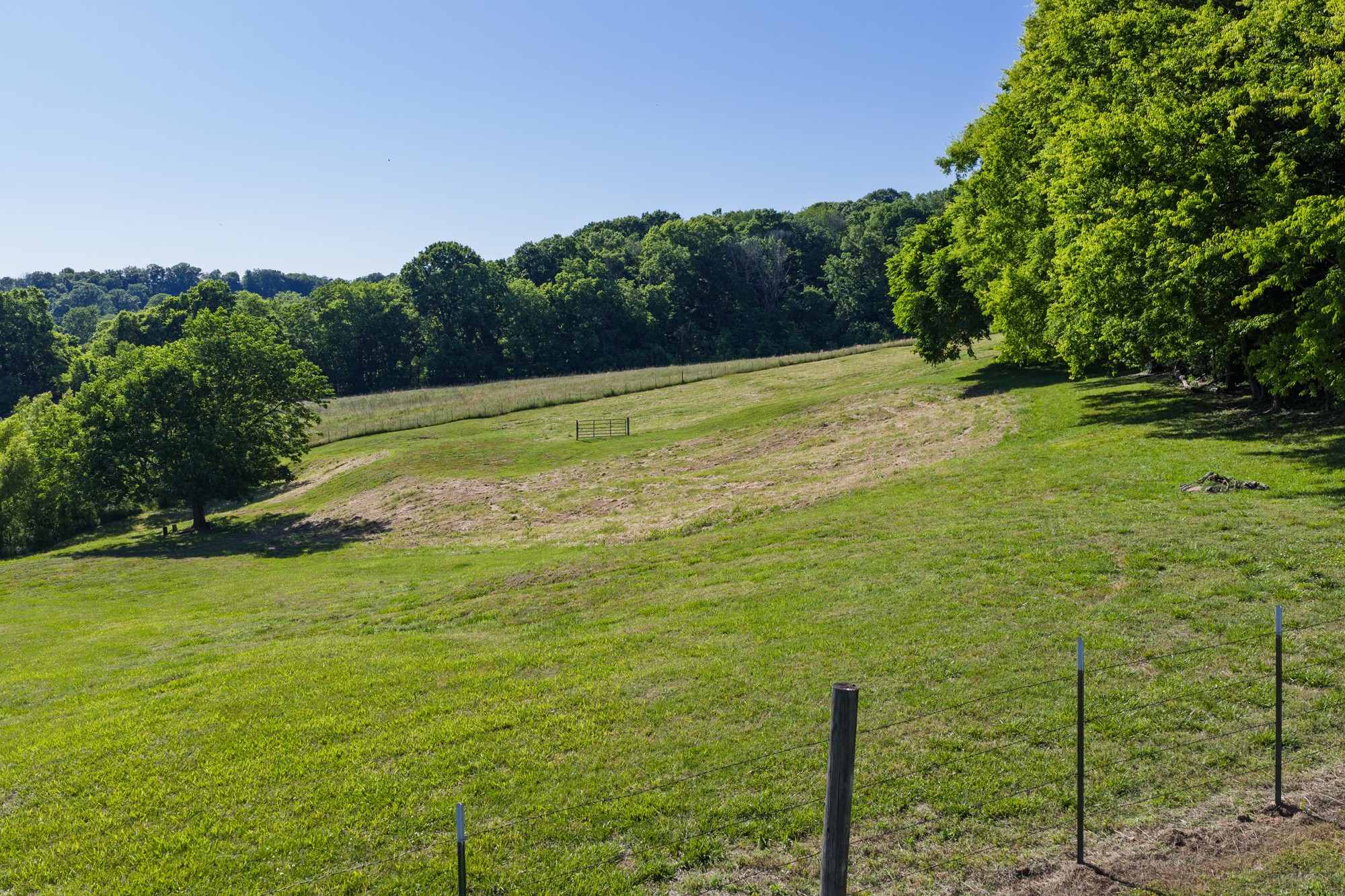 0 Morel Road Columbia TN 38401