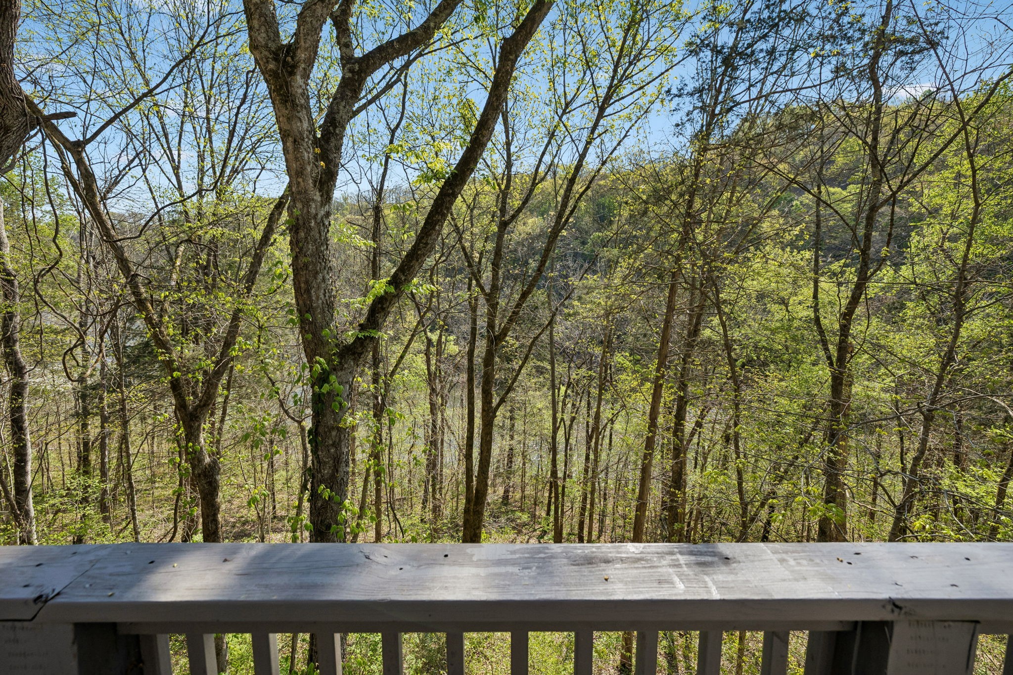1407 Lakeside Drive Smithville TN 37166