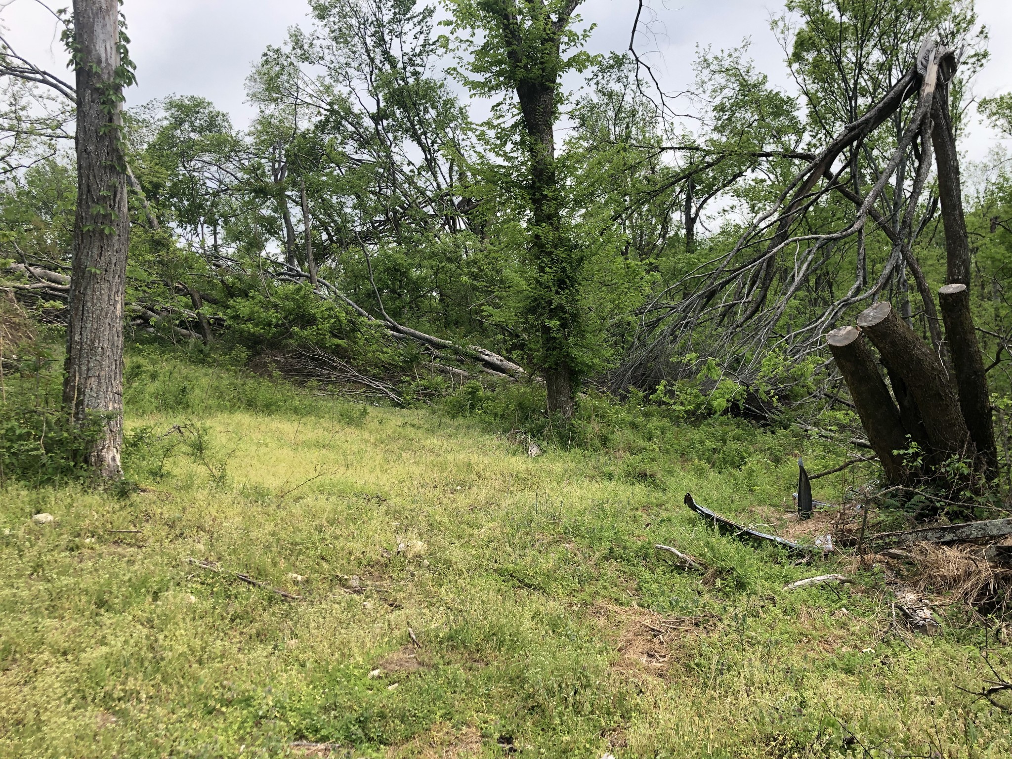 0 Old Highway 99 Columbia TN 38401