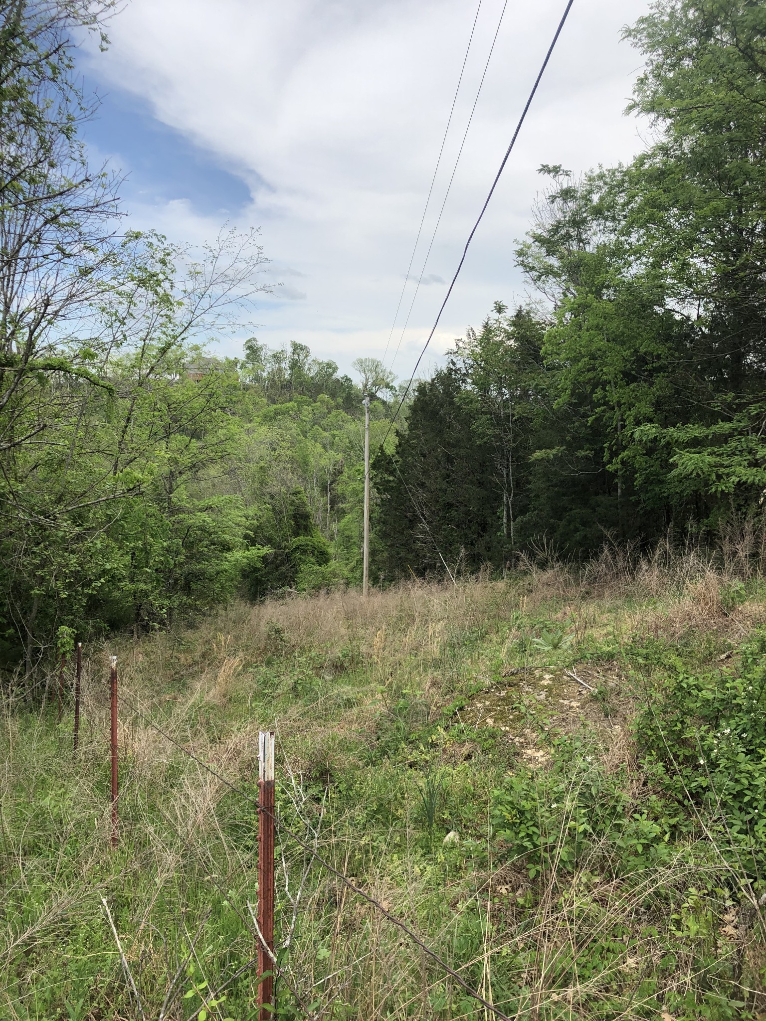 0 Old Highway 99 Columbia TN 38401