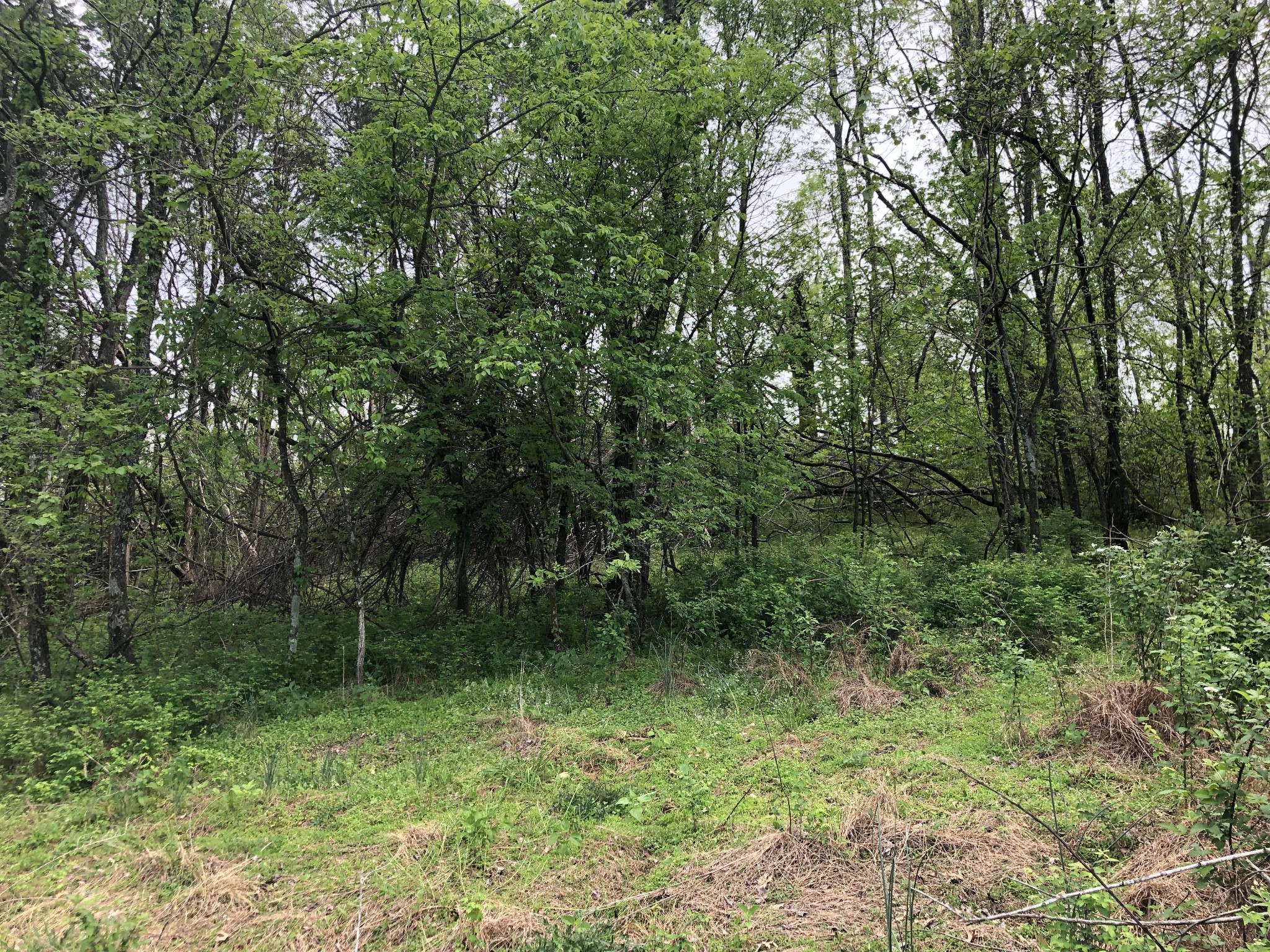 0 Old Highway 99 Columbia TN 38401
