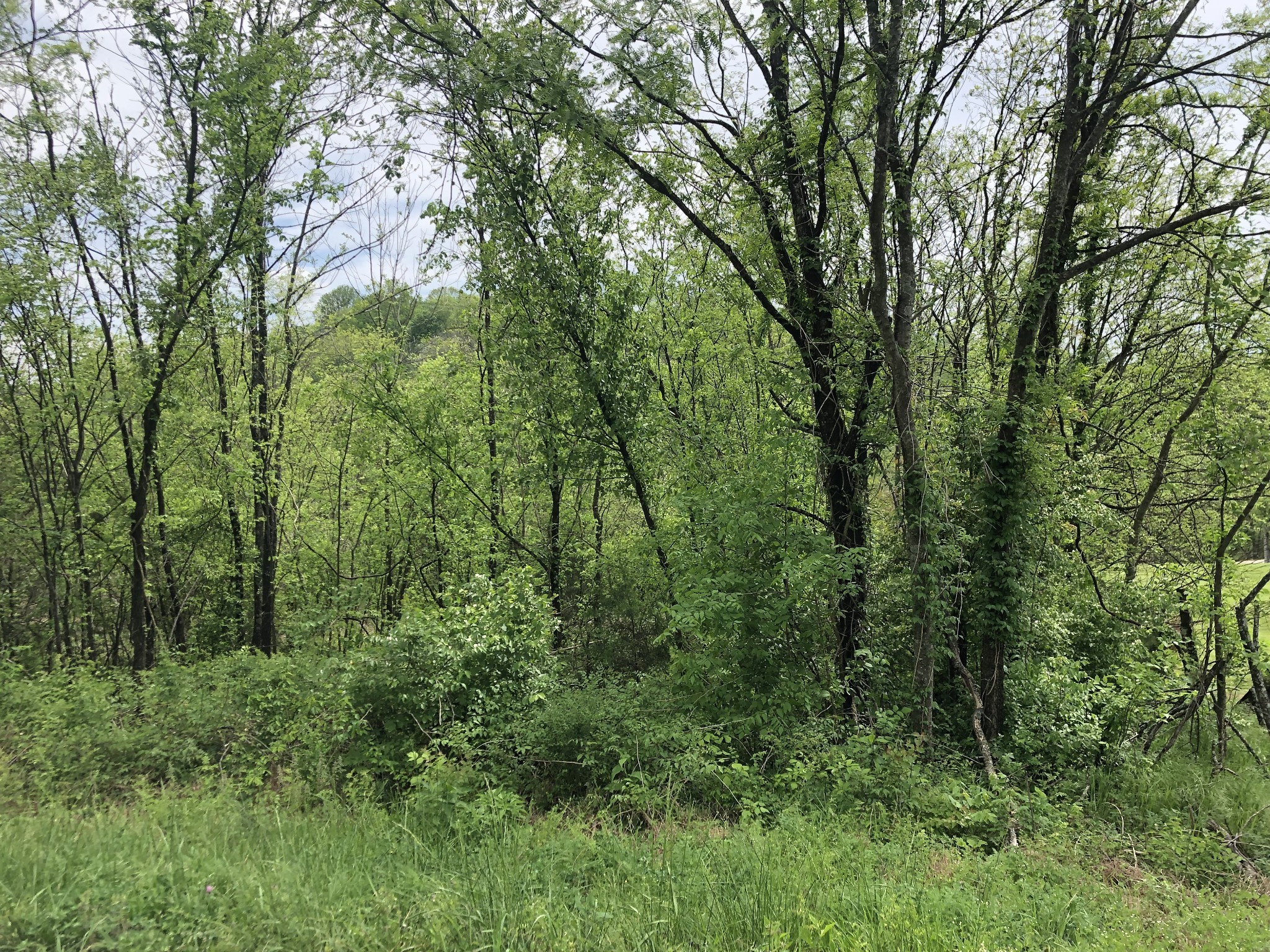 0 Old Highway 99 Columbia TN 38401