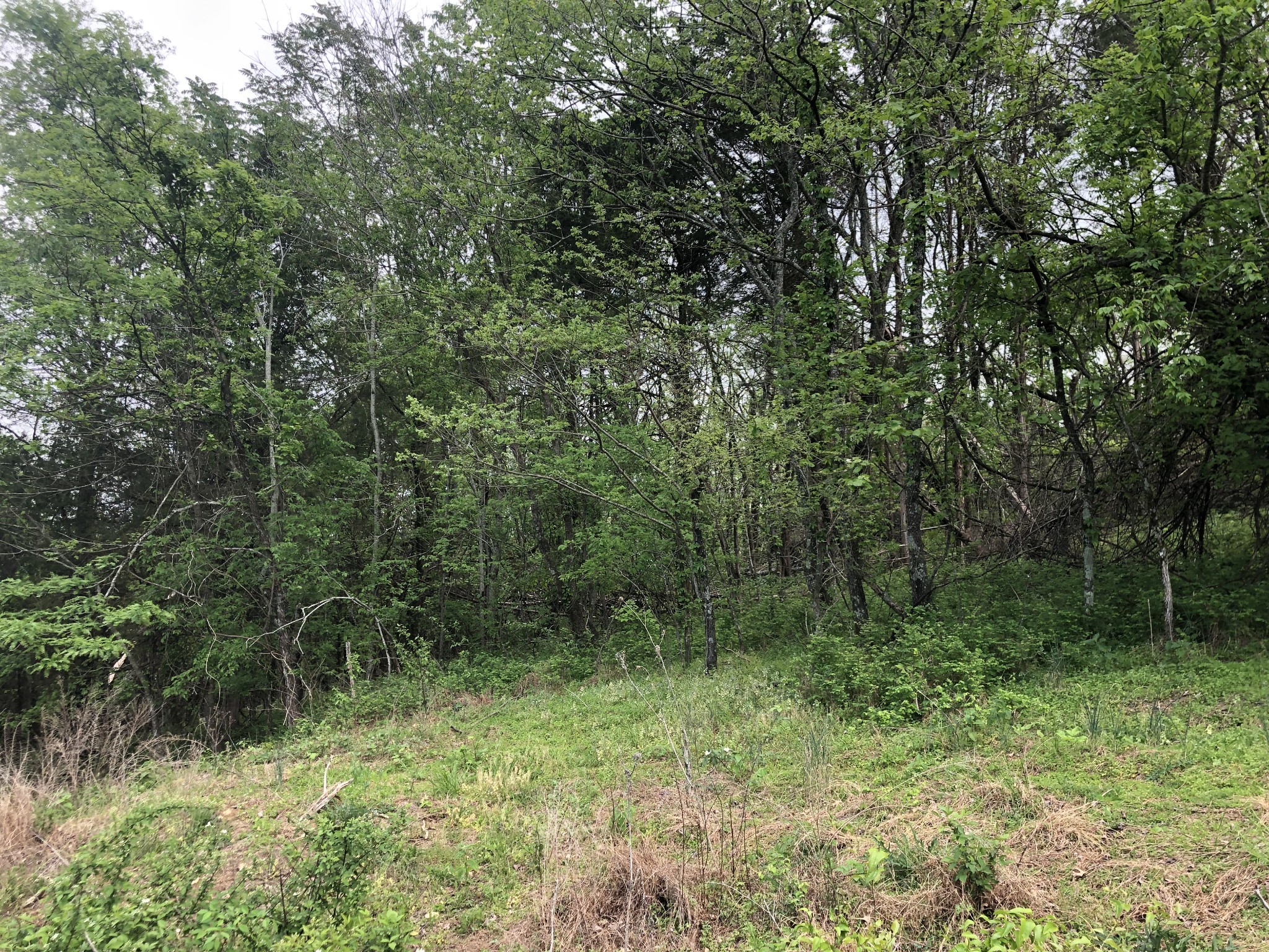 0 Old Highway 99 Columbia TN 38401