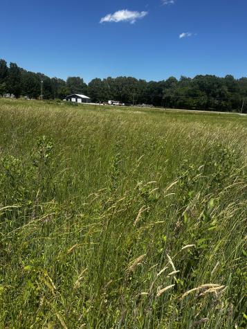 0 Lp Bradford Road Estill Springs TN 37330