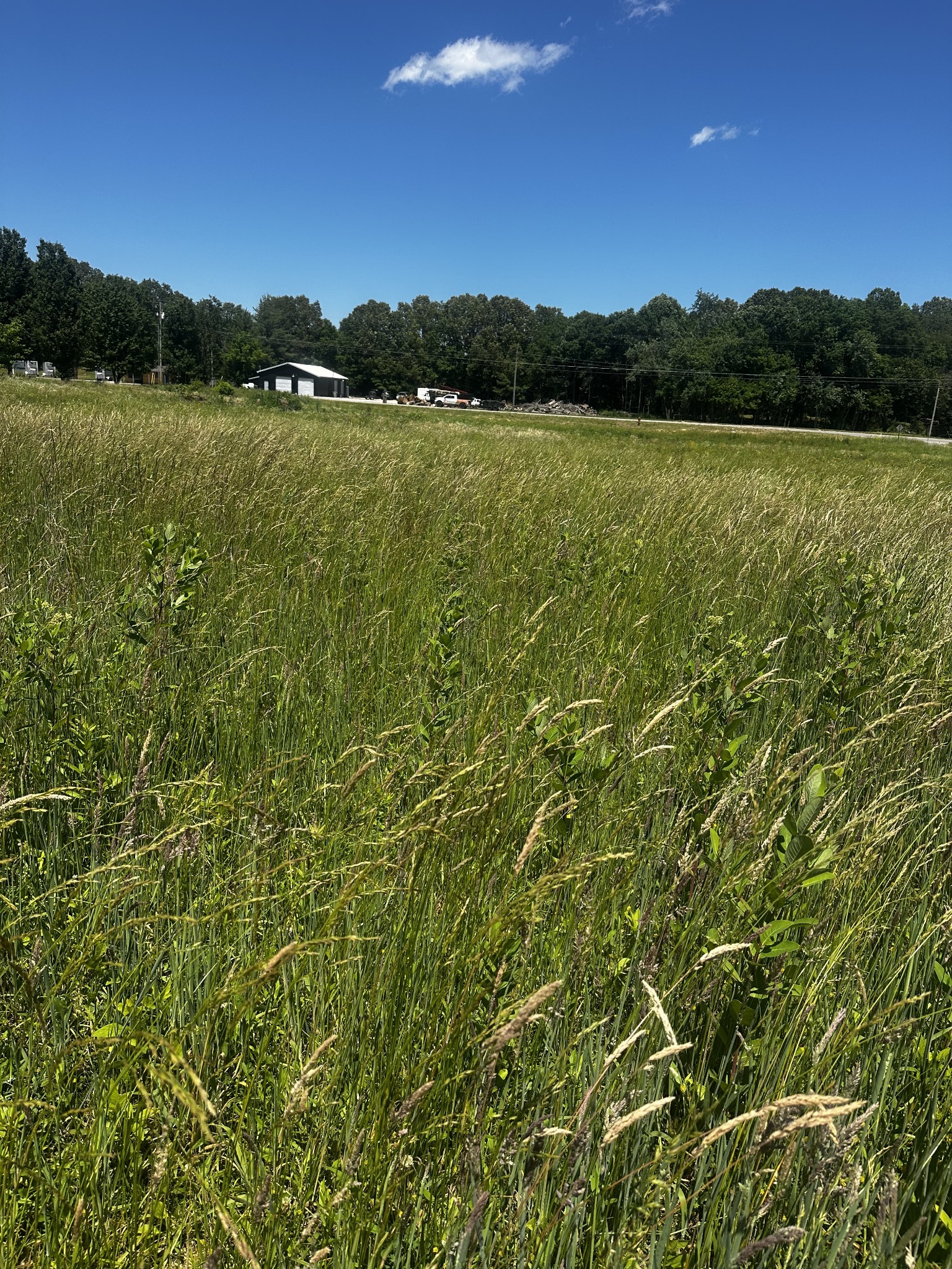 0 Lp Bradford Road Estill Springs TN 37330