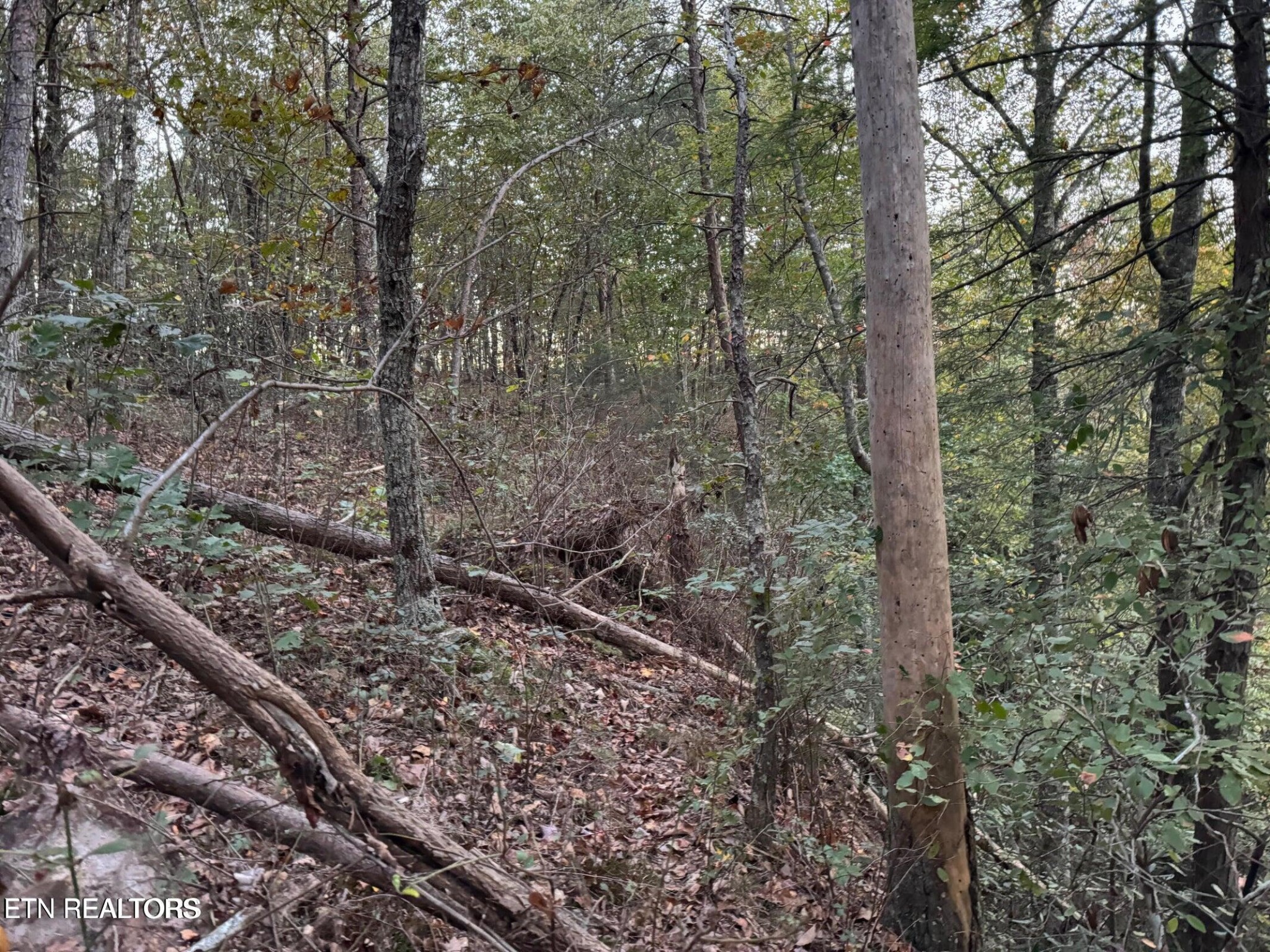0 Panther Falls Road Wilder TN 38589