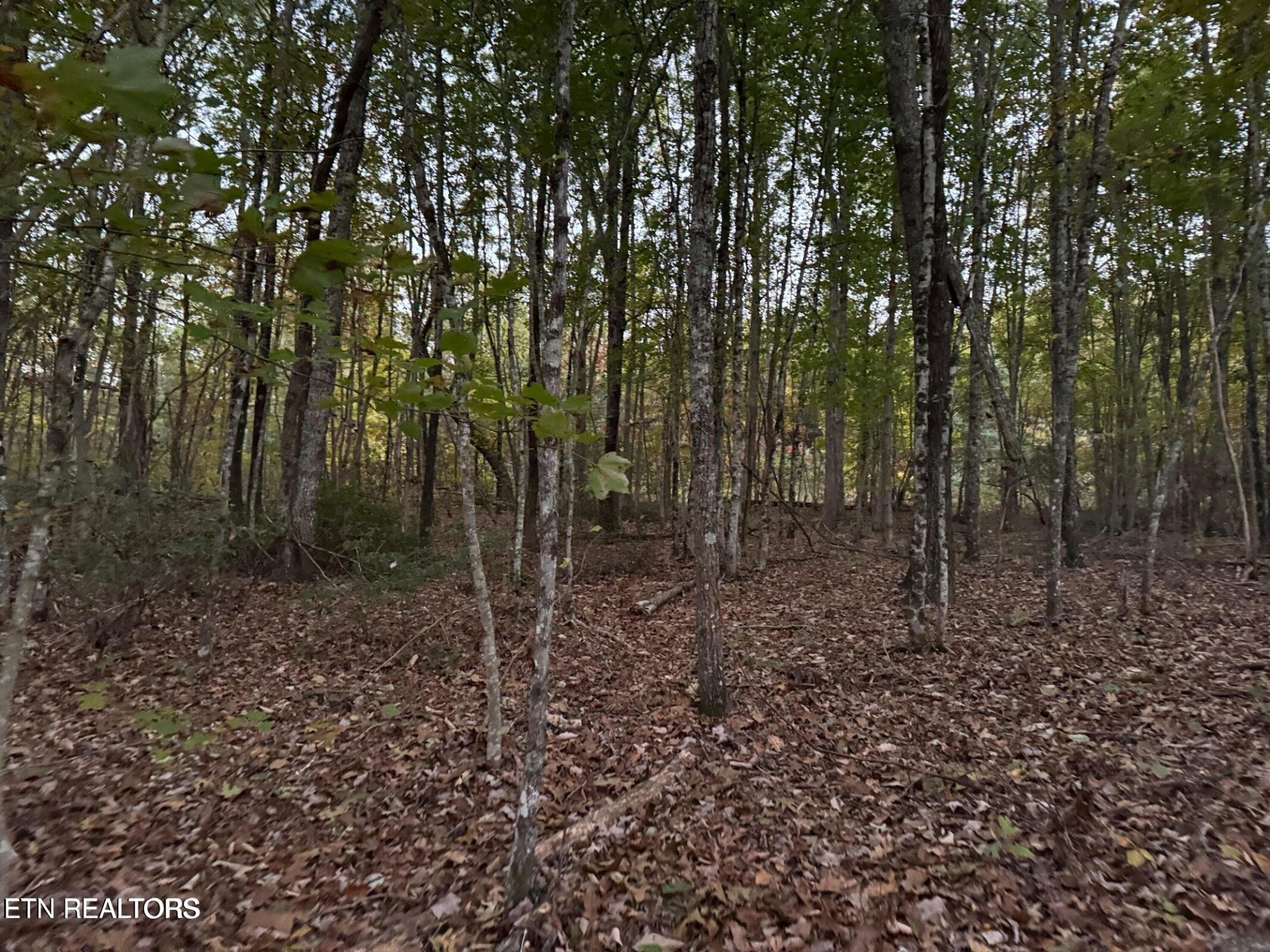 0 Panther Falls Road Wilder TN 38589