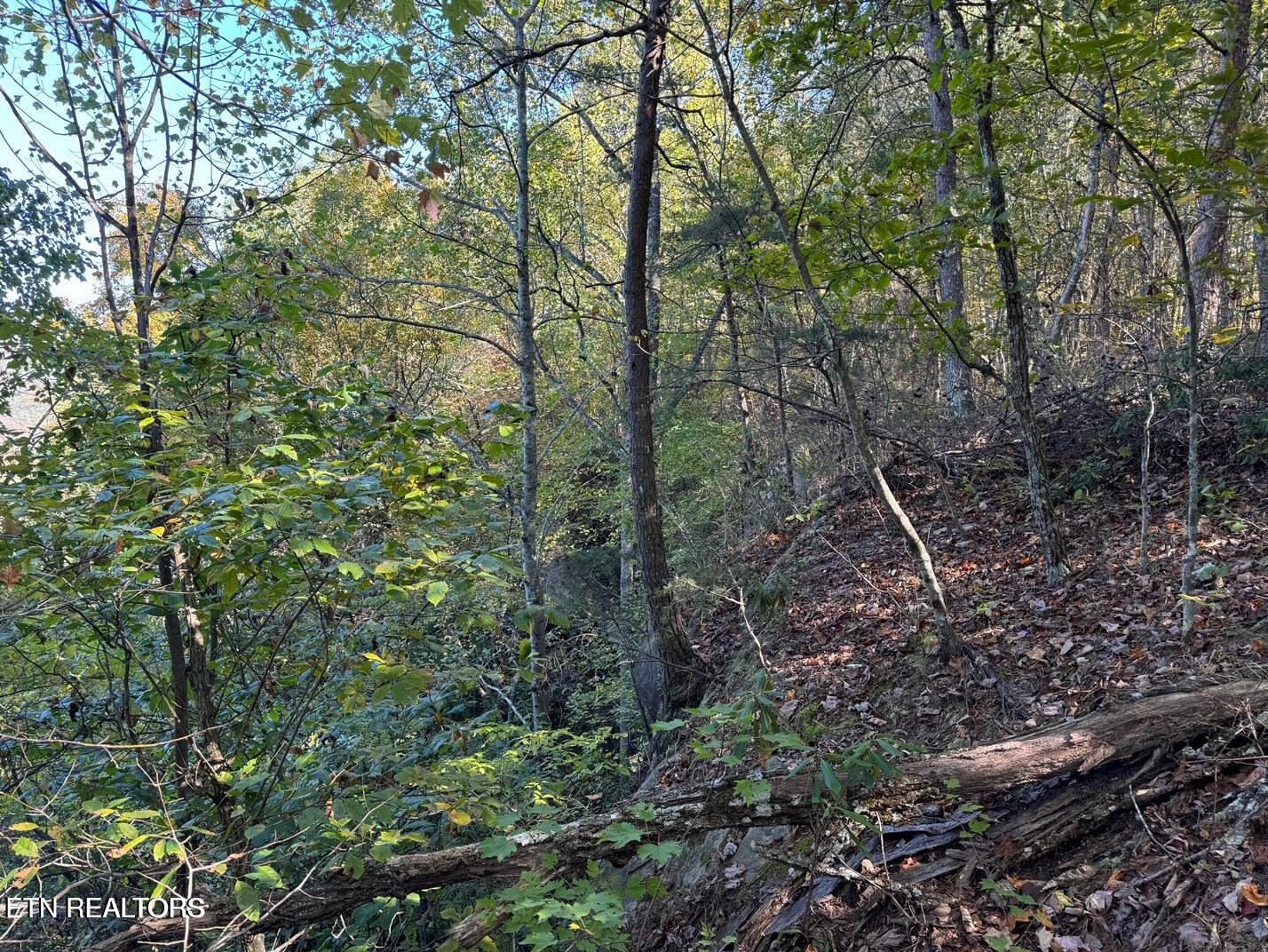 0 Panther Falls Road Wilder TN 38589
