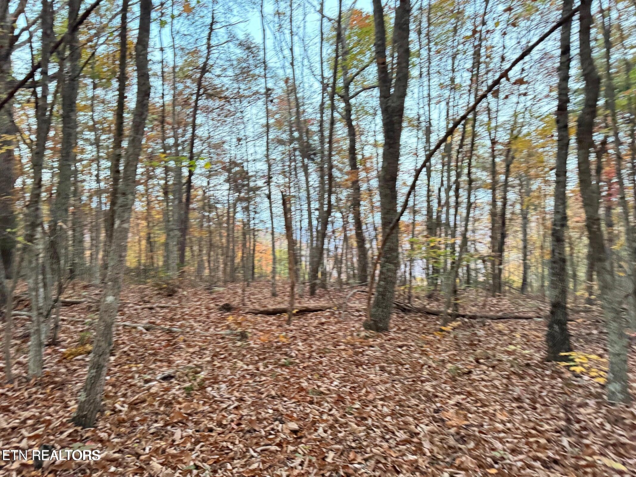 0 Panther Falls Road Wilder TN 38589