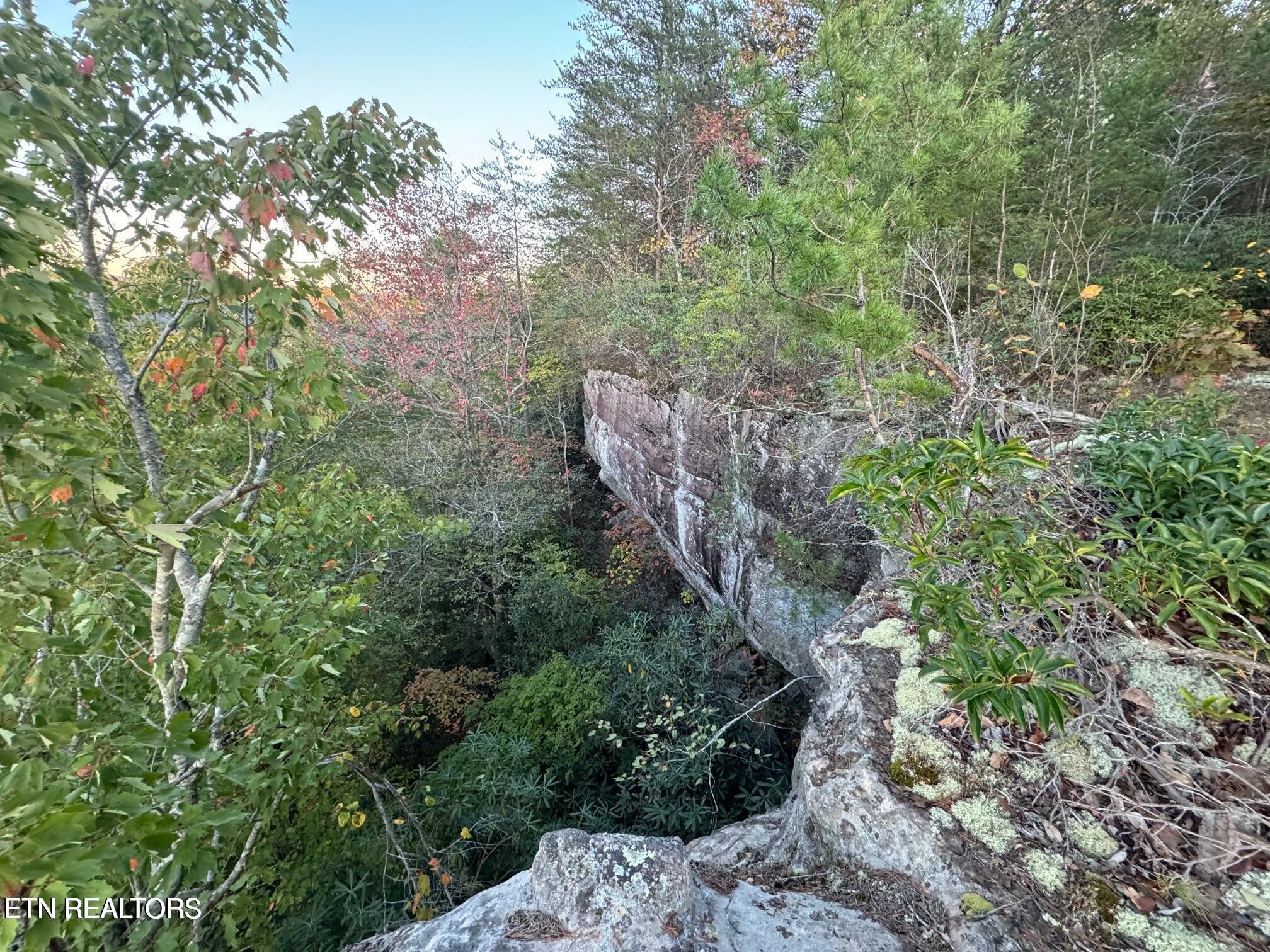 0 Panther Falls Road Wilder TN 38589