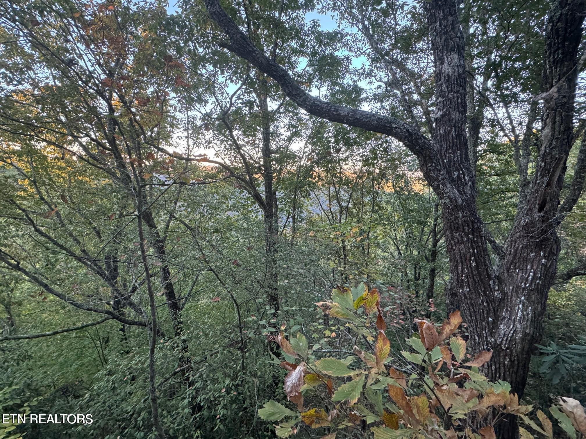 0 Panther Falls Road Wilder TN 38589