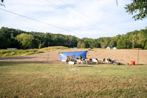 1801 Garrett Road Charlotte TN 37036