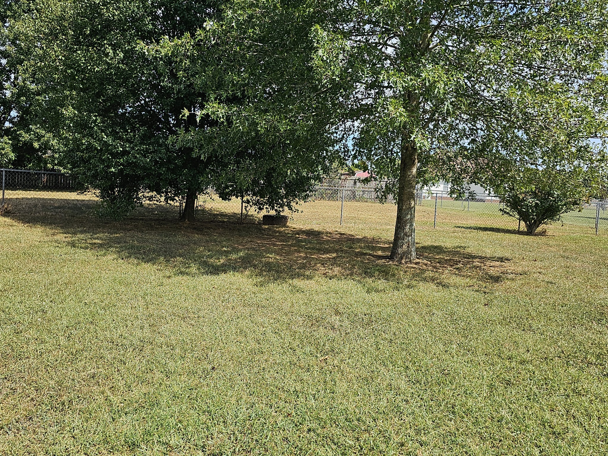 1994 Overland Drive Chapel Hill TN 37034